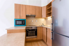 videnska-12 (Custom)