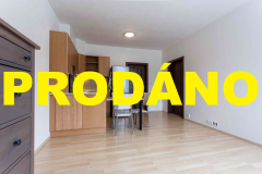 videnska-8P (Custom)