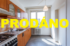 sevastopolska-3P (Custom)